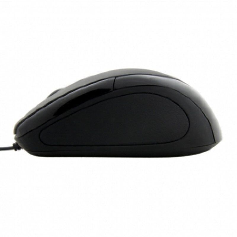 Esperanza EM102K souris USB Type-A Optique 800 DPI