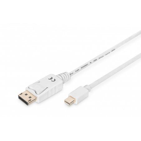 Câble DisplayPort vers Mini DisplayPort Assmann 1m M/M (Blanc)