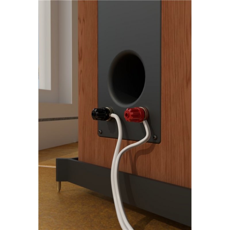 Goobay 15020 câble audio 100 m Transparent