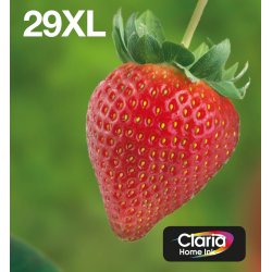 Epson Strawberry Multipack 4-colours 29XL EasyMail