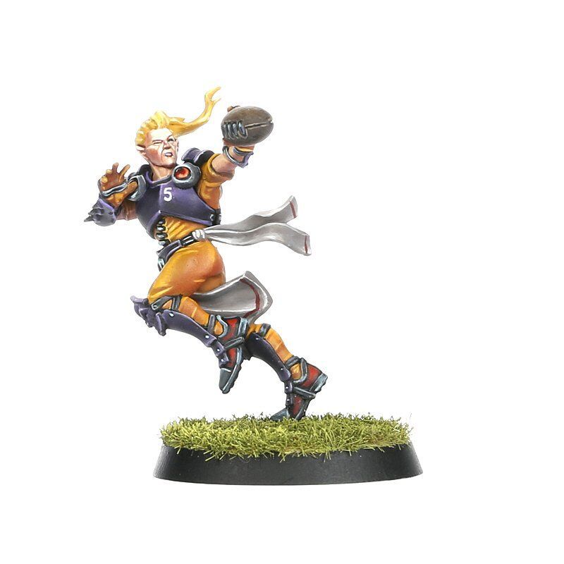 Blood Bowl - The Elfheim Eagles