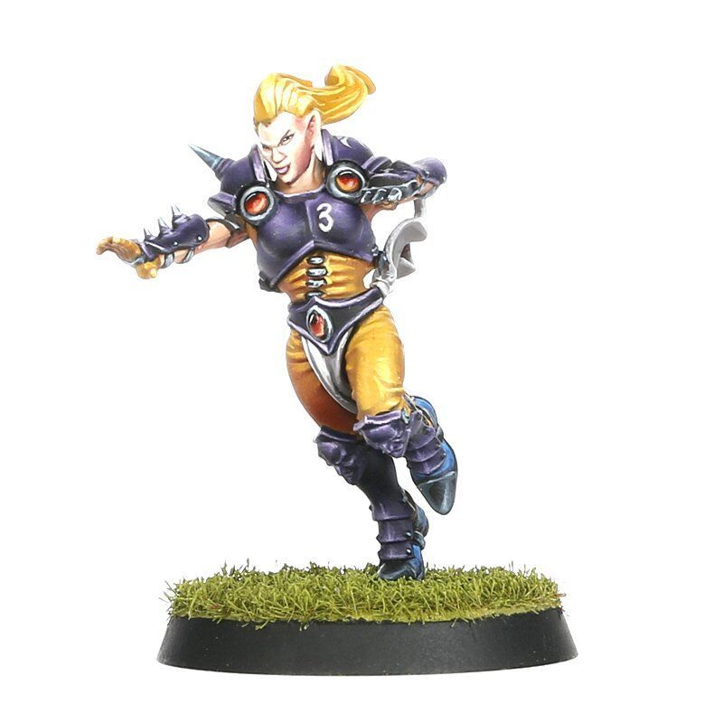 Blood Bowl - The Elfheim Eagles