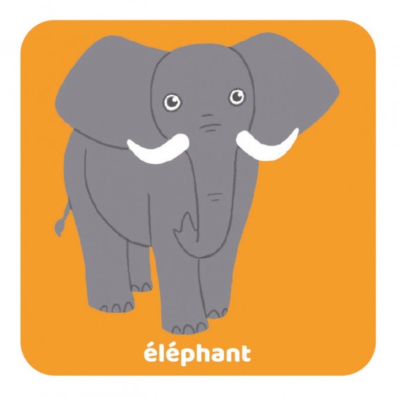 Ravensburger Memory Animaux