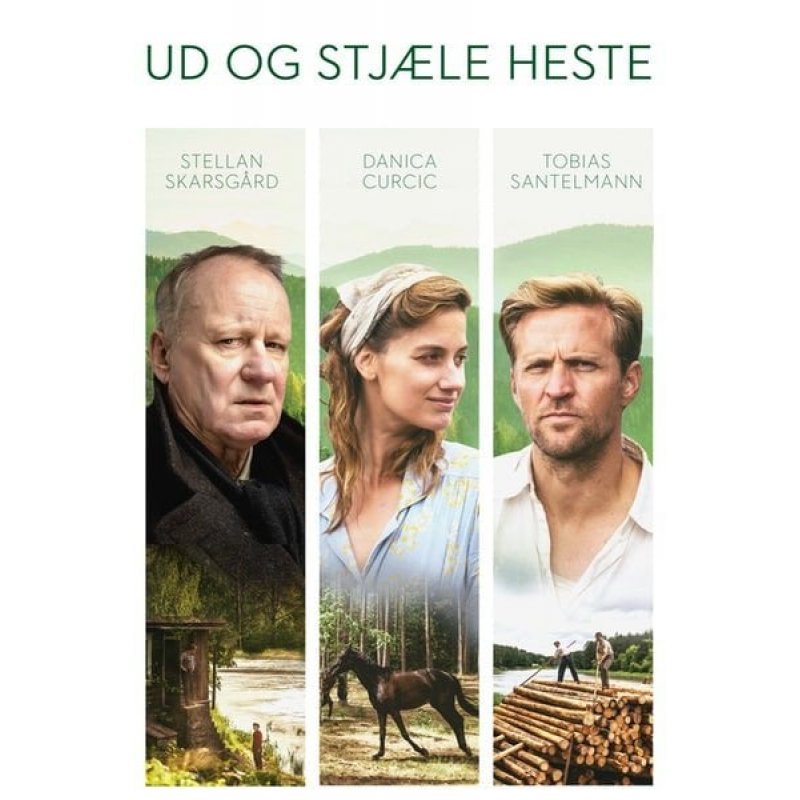 Ud Og Stjæle Heste