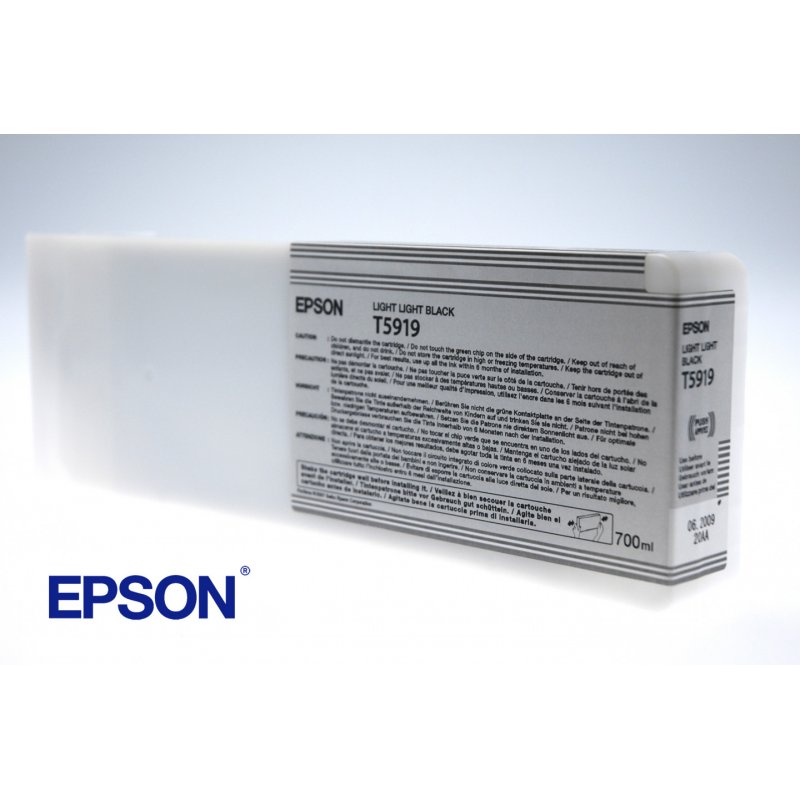 Epson Singlepack Light Light Black T591900