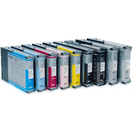 Epson Singlepack Light Black T602700