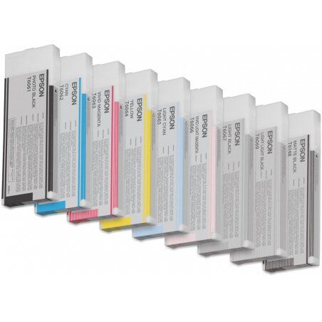 Epson Singlepack Vivid Light Magenta T606600 220 ml