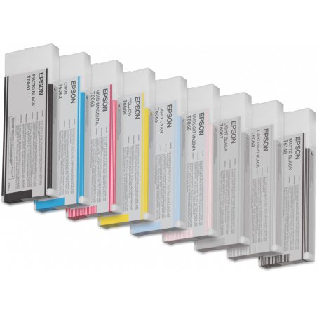 Epson Singlepack Light Light Black T606900 220 ml