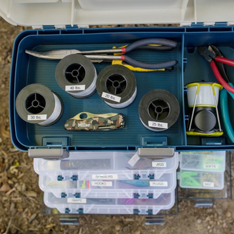 Brother compatible TZe231 - laminiertes Band - 1 Rolle(n) - Rolle (1,2 cm x 8 m)