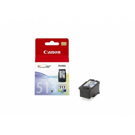 Canon Cartouche Encre CL-513 - Couleur (2971B009)