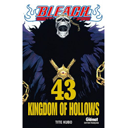 BLEACH - Tome 43