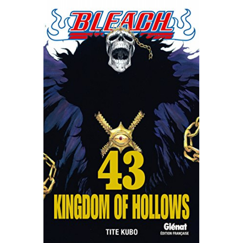 BLEACH - Tome 43
