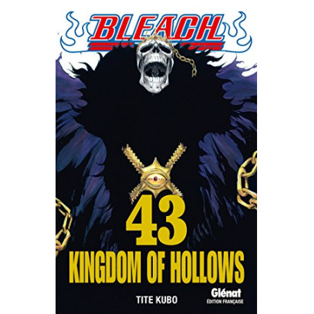 BLEACH - Tome 43