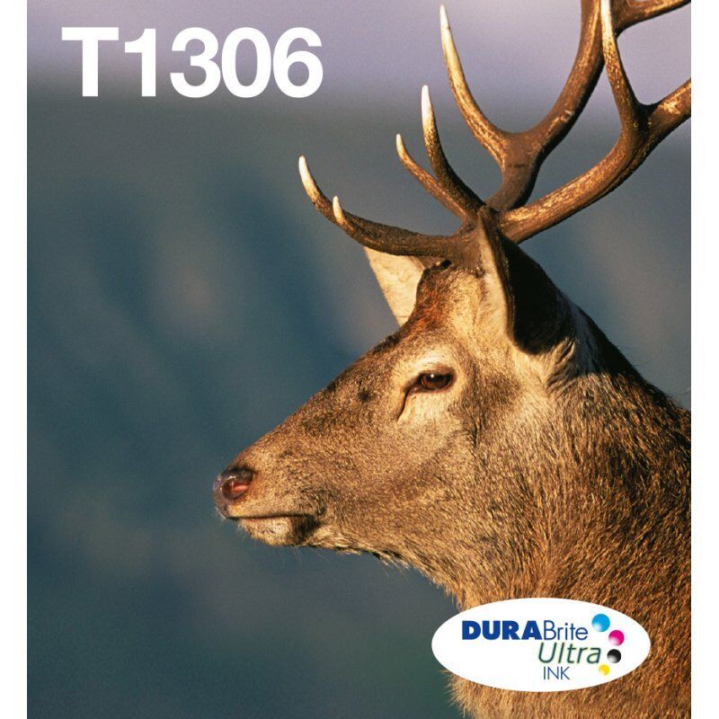 MLT.PCK 3COL.T1306 INK EASYMAIL DURABRITE ULTRA CY Y MG XL