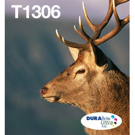 MLT.PCK 3COL.T1306 INK EASYMAIL DURABRITE ULTRA CY Y MG XL