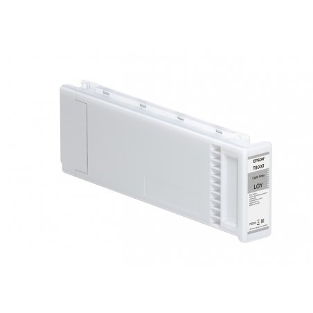 EPSON Singlepack Gray T800900