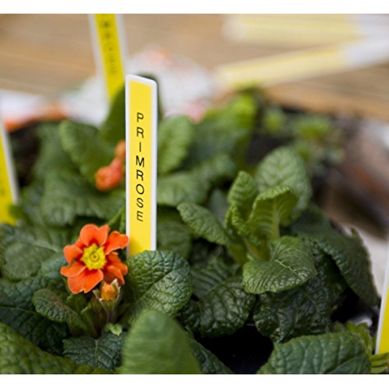 PT-D210 LABELING LAPTOP KBOARD TZE TAPES UP TO 12MM MANUAL CUT