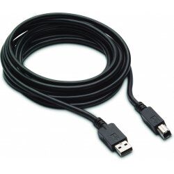 300CM DP USB B-A CABLES