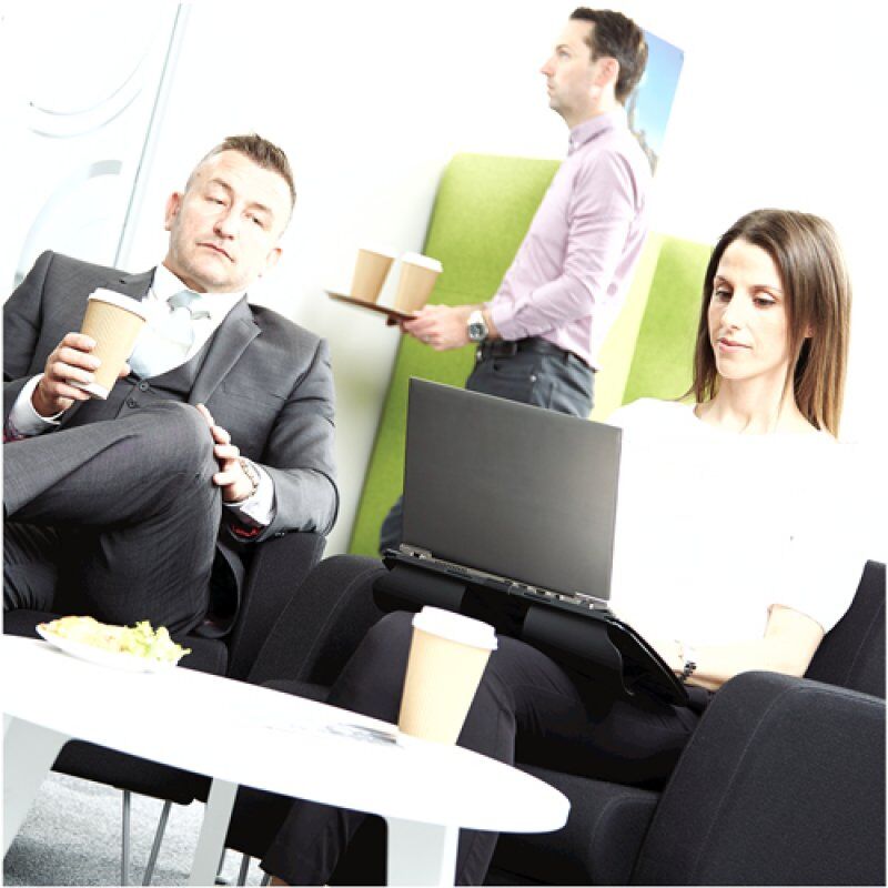 Fellowes PrivaScreen Frameless display privacy filter 39.6 cm (15.6")