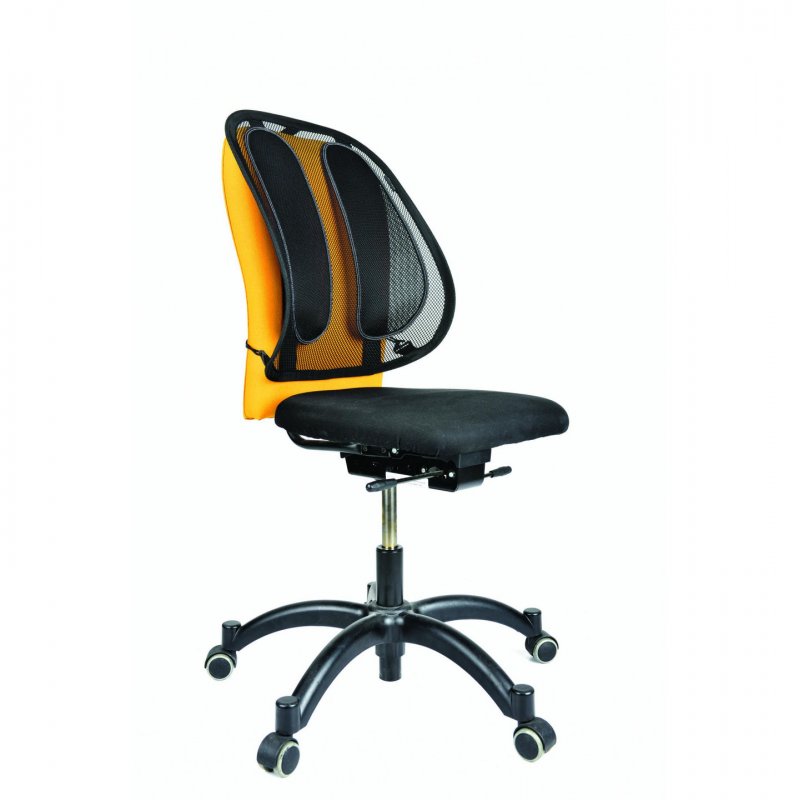 Fellowes Support dorsal en maille Office Suites