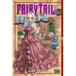 FAIRY TAIL - Tome 14