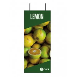 FASTDISPLAY A3 CEILING BANN PROVIDER METAL 30X90CM