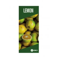 FASTDISPLAY A3 MURAL BANN METAL PROVIDER 30X120CM