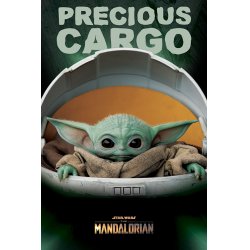 STAR WARS - The Mandalorian - Poster 61X91 - Precious Cargo