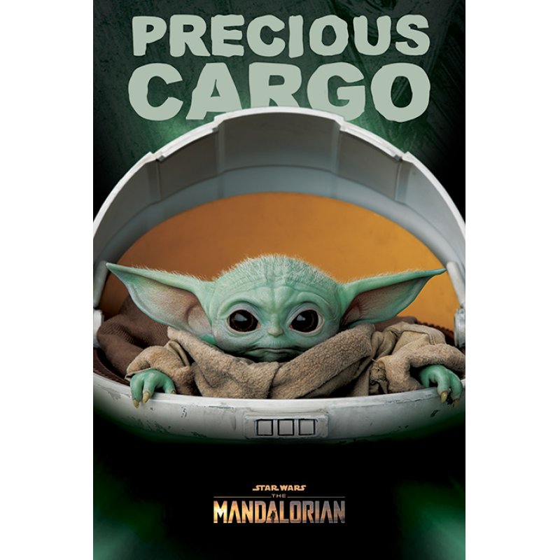 STAR WARS - The Mandalorian - Poster 61X91 - Precious Cargo