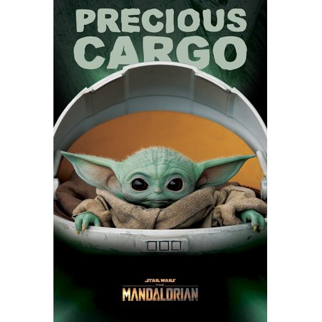 STAR WARS - The Mandalorian - Poster 61X91 - Precious Cargo