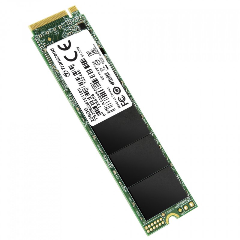 SSD 110S 256 Go (TS256GMTE110S)