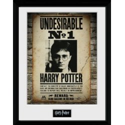 HARRY POTTER - Collector Print 30X40 - Undesirable No1