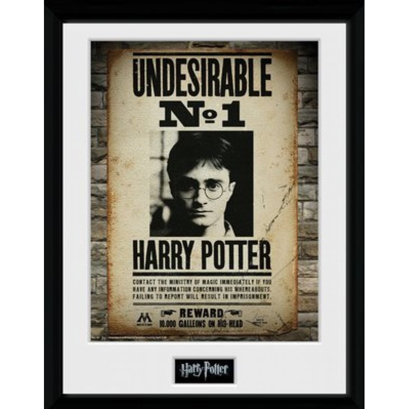 HARRY POTTER - Collector Print 30X40 - Undesirable No1