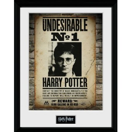 HARRY POTTER - Collector Print 30X40 - Undesirable No1