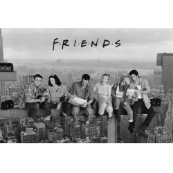 FRIENDS - Poster 61X91 - Skyscraper
