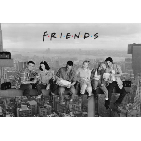FRIENDS - Poster 61X91 - Skyscraper