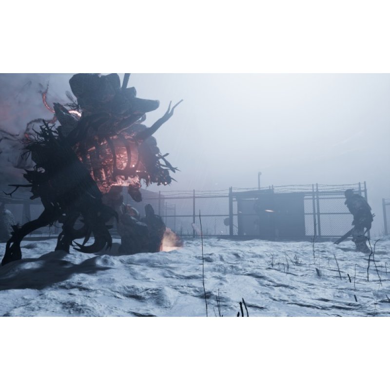 THQ Nordic Fade to Silence (PS4) Standard Multilingue PlayStation 4