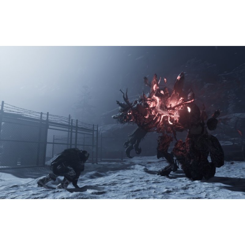 THQ Nordic Fade to Silence (PS4) Standard Multilingue PlayStation 4