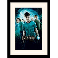 HARRY POTTER - Mounted & Framed 30X40 Print - Order of The Phoenix