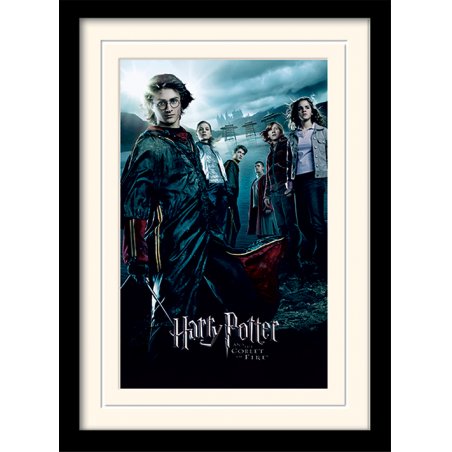 HARRY POTTER - Mounted & Framed 30X40 Print - Goblet of Fire