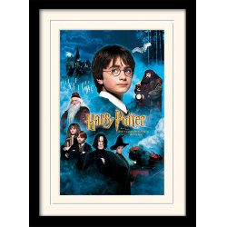 Pyramid International MP10683P affichages 1 pièce(s)