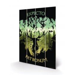 HARRY POTTER - Expecto Patronum - Impression sur bois 40x59cm