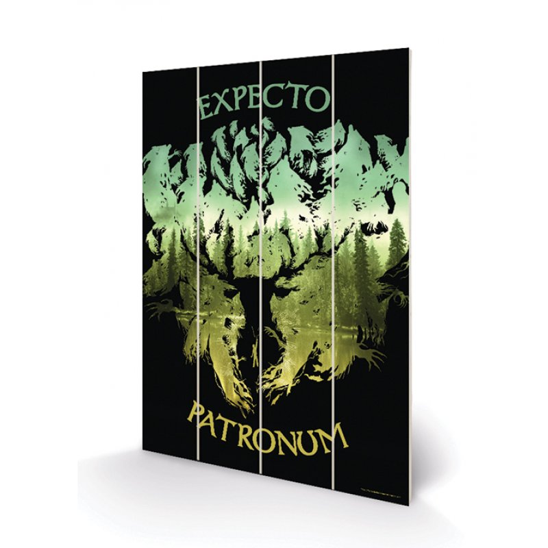 HARRY POTTER - Expecto Patronum - Impression sur bois 40x59cm