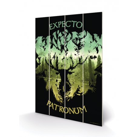 HARRY POTTER - Expecto Patronum - Impression sur bois 40x59cm