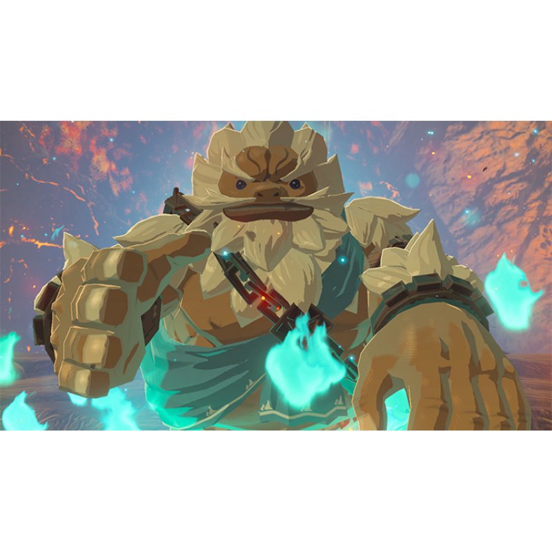 Nintendo The Legend of Zelda: Breath of the Wild Switch Standard Français Nintendo Switch