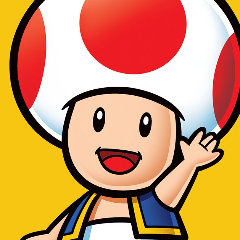 NINTENDO - Canvas 40X40 '38mm' - Super Mario : Toad