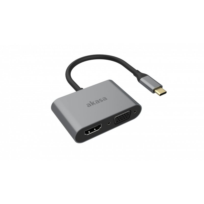 Akasa compatible USB Typ C 2-In-1 Display-Adapter - argent