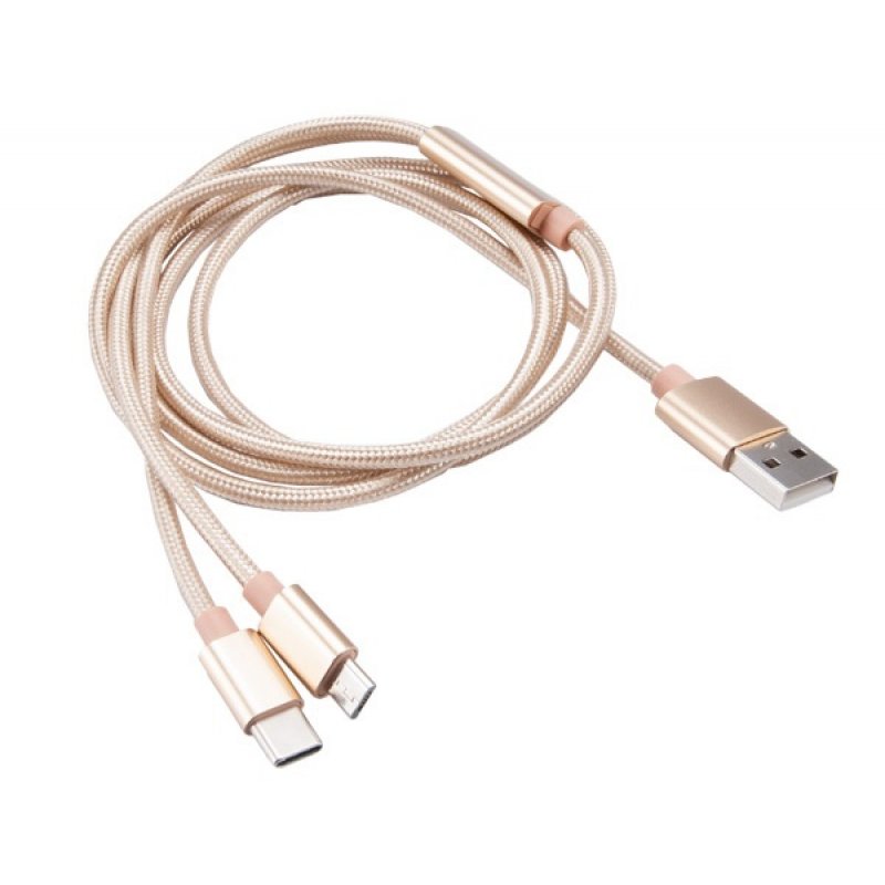 Akasa compatible 2 in 1 USB 2.0 Câble Typ A zu Micro-B und Typ C - 1m, gold