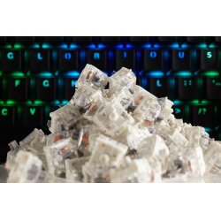 Glorious PC Gaming Race compatible Kailh Speed Silver Switches (120 Stück)
