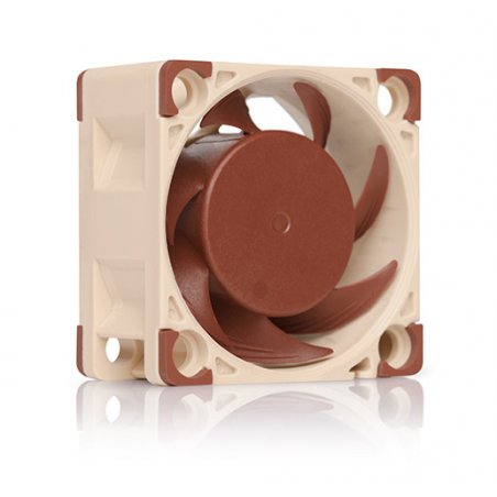 Noctua NF-A4x20 PWM Boitier PC Ventilateur 4 cm Beige, Marron
